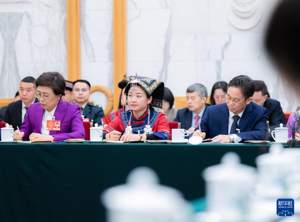 两会丨各代表团审议政府工作报告
