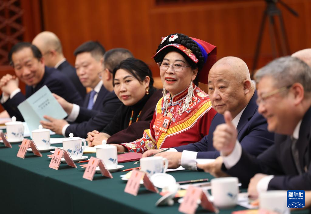 两会丨各代表团审议政府工作报告