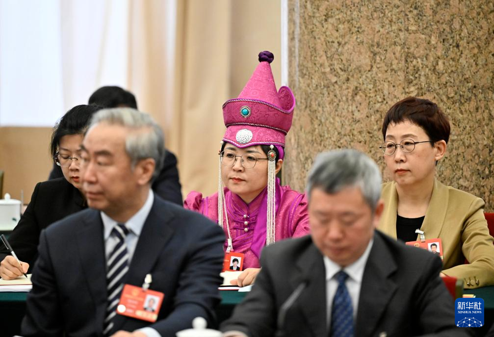 两会丨各代表团审议政府工作报告